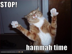 funny-pictures-mc-hammer-cat