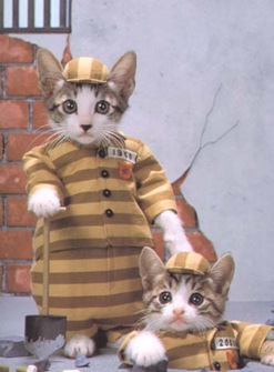 jailbreakcats