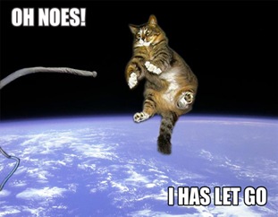 oh_noes_i_has_let_go