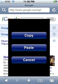 iCopy - iPhone copy and paste in Safari