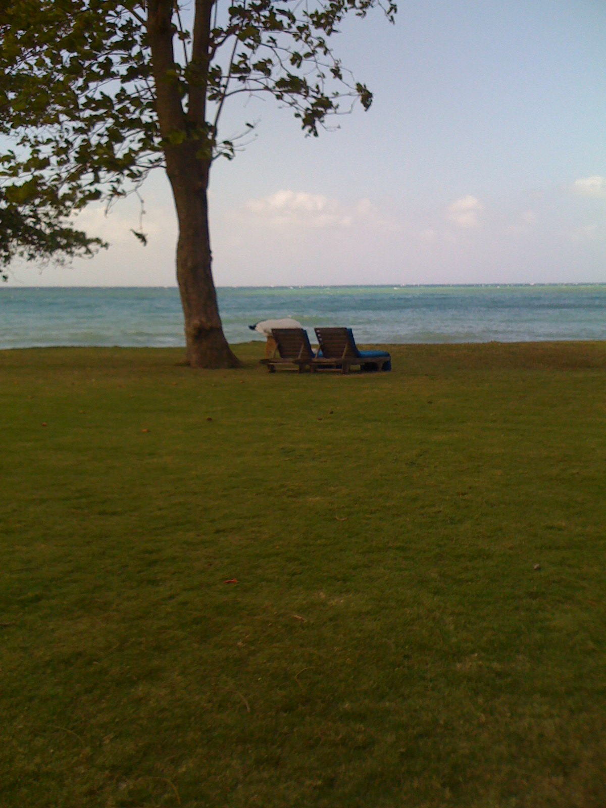 IMG_0446_2.JPG