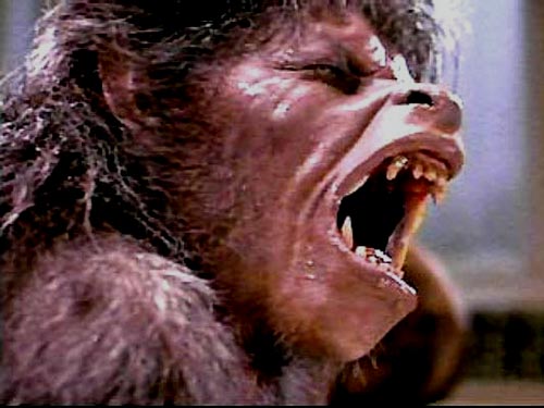 American werewolf pic American werewolf pic