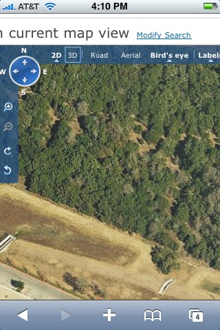 MS Live Search on iPhone MS Live Search on iPhone