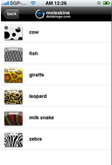 moleskine icons