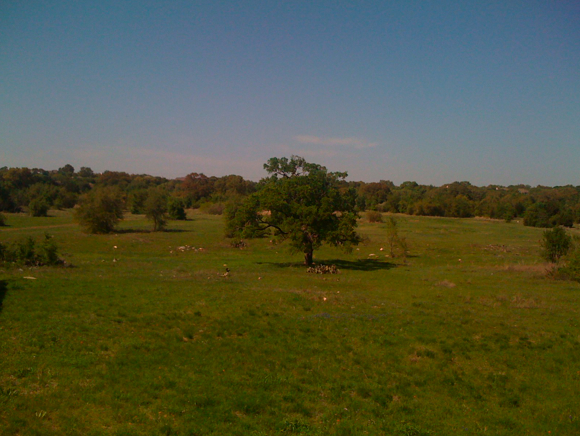 Ladybird Johnson Wildflower Center Ladybird Johnson Wildflower Center