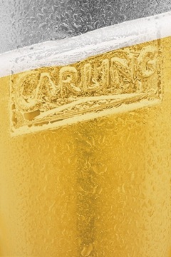beer