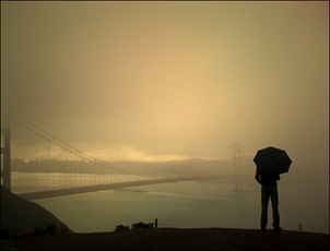 amazing iPhone photos amazing iPhone photos