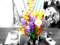 ColorSplash
