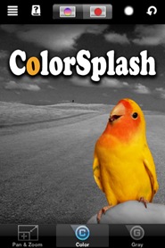 ColorSplash3