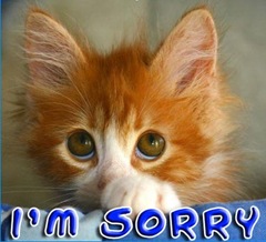 sorry sorry
