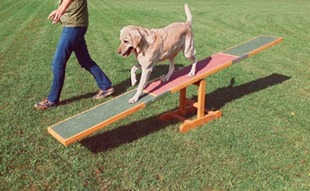dogagility dogagility