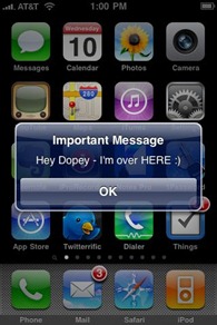 Find My iPhone message screen Find My iPhone message screen