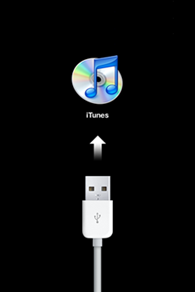 Restore Restore