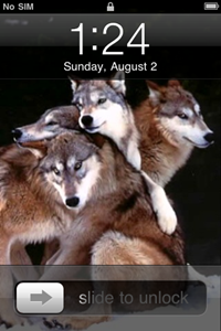Animal Wallpapers on iPhone Animal Wallpapers on iPhone