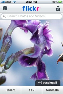 Flickr iPhone app Flickr iPhone app