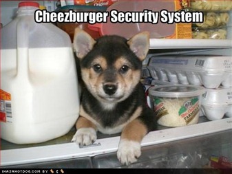 CheezburgerSecuritySystem