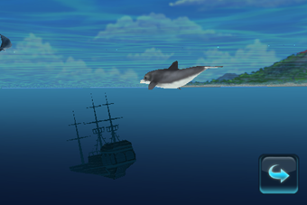 Shipwreck