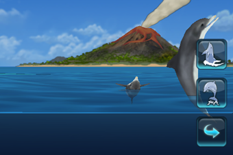 Dolphin Experience on iPhone Dolphin Experience on iPhone