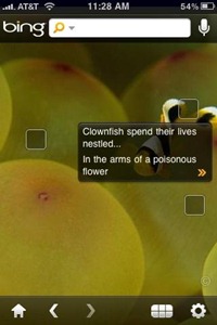 Bing for iPhone