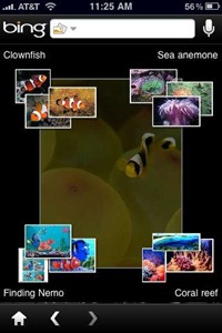 Bing on iPhone