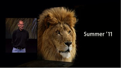 LionSummer11