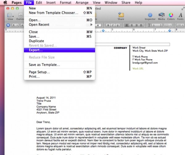 File Export copy